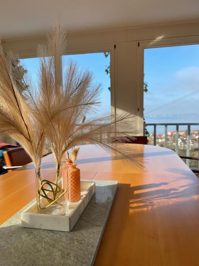 Villa Mit Traumhaftem Blick Uber Den Bodensee Bregenz Luaran gambar